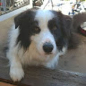 Meet your Posher, Keira